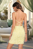 Savannah Bodycon V-Neck Short/Mini Lace Homecoming Dress BF2P0020496