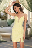 Savannah Bodycon V-Neck Short/Mini Lace Homecoming Dress BF2P0020496