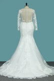 2024 Mermaid/Trumpet Long Sleeves Court Train Tulle With Applique Wedding Dresses