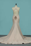2024 Sexy Mermaid Prom Dresses Halter Spandex Lace Up Open Back