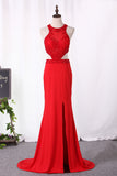 2024 Prom Dresses Mermaid Scoop Open Back Spandex With Embroidery