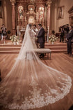 Fairy Tale Worthy One Layer Cathedral Length Lace Wedding Bridal Veil V15