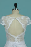 2024 A Line Wedding Dresses Sexy Open Back Scoop Cap Sleeves Elastic Satin & Lace