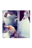 2024 A Line Wedding Dresses Long Sleeves With Applique Tulle Covered Button Sweep Train