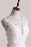 2024 Wedding Dresses Scoop A Line Tulle With Applique