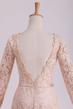 2024 Long Sleeves Wedding Dresses Scoop Lace With Sash Sweep Train Champagne
