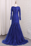 2024 V Neck Long Sleeves Tulle Prom Dresses With Applique Mermaid