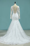2024 Wedding Dresses Long Sleeves V Neck Mermaid Tulle With Applique
