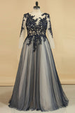2024 See-Through Prom Dresses Scoop Long Sleeves Tulle With Applique A Line