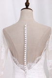 2024 Wedding Dresses Long Sleeves Scoop Mermaid Tulle With Applique