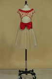2024 A Line Homecoming Dresses Scoop Tulle With Beads And Bow Knot