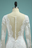 2024 Wedding Dresses Long Sleeves V Neck Mermaid Tulle With Applique