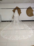 3M Long Embroidered Lace Appliques Tulle Cathedral Veil for Wedding, Wedding Veils SRS14988