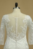 2024 New Arrival V Neck 3/4 Length Sleeves Mermaid Lace Wedding Dresses