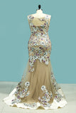 2024 Scoop Tulle With Beads & Applique Prom Dresses Mermaid Sweep Train