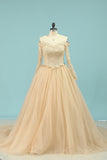 2024 Wedding Dresses V Neck Long Sleeves Tulle With Applique A Line