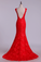 2024 V-Neck Tulle Evening Dresses Mermaid With Applique Sweep Train