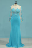 2024 Spandex Scoop Long Sleeves Mother Of The Bride Dresses With Applique
