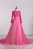 2024 Prom Dresses Scoop Two-Piece Open Back Tulle With Applique Long Sleeves