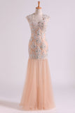 2024 Classic Prom Dresses V Neck Mermaid/Trumpet Floor Length Tulle Champagne With Applique & Beads