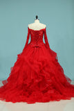 2024 Scoop Long Sleeves Tulle Quinceanera Dresses Ball Gown With Applique