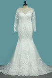 2024 Mermaid/Trumpet Long Sleeves Court Train Tulle With Applique Wedding Dresses