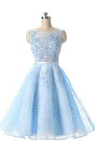 Charming Elegant Light Blue Tulle Prom Dress Short Homecoming Dress Prom Dresses