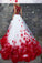 A-Line Applique White Light Long Bateau Sleeveless Two Piece lace Prom Dresses