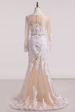 2024 Tulle Wedding Dresses Bateau With Applique Mermaid/Trumpet