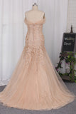 2024 Mermaid Off The Shoulder Wedding Dresses Tulle With Applique