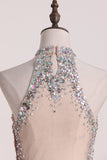 2024 Short/Mini High Neck Prom Dresses Tulle With Beads And Rhinestones