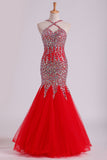 2024 Red Spaghetti Straps Dark Royal Blue Prom Dresses Mermaid Tulle Beaded Bodice Floor Length