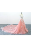 A-Line V Neck Tulle Lace Appliques Cathedral Train Formal Prom Dress