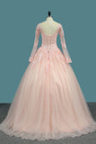 2024 V Neck Quinceanera Dresses Ball Gown Long Sleeves Tulle With Applique