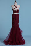 2024 Prom Dresses Spaghetti Straps Tulle & Lace With Applique Two Pieces Mermaid