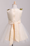 2024 Scoop Flower Girl Dresses A-Line With Flowers Lace & Tulle