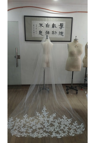 Gorgeous Wedding Veil Tulle With Appliques