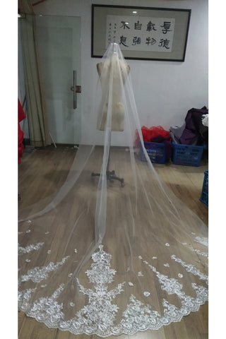 Elegant One Tier 3 Meters Bridal Veils With Applique&Comb