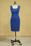 2024 Sheath/Column Evening Dresses Off The Shoulder Lace With Ribbon Dark Royal Blue