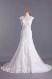 2024 New A-Line Wedding Dresses Bateau Court Train Covered Button Tulle & Lace Applique