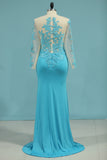 2024 Spandex Scoop Long Sleeves Mother Of The Bride Dresses With Applique
