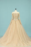 2024 Wedding Dresses V Neck Long Sleeves Tulle With Applique A Line
