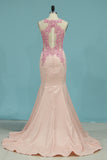 2024 Prom Dresses Scoop See-Through Mermaid Elastic Satin With Applique
